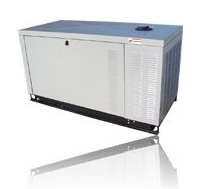 22,000 Watt LP Natural Gas Generator System